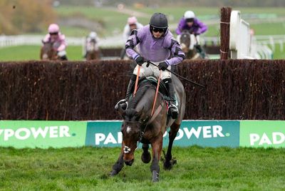 Stage Star stands firm after late mistake to secure Cheltenham triumph