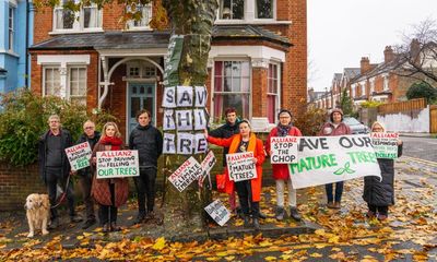 Hammocks, dawn raids and court dates: the fight to save a London tree