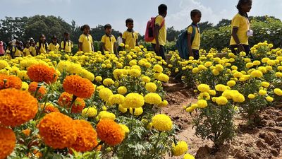Millet cutlery, and sericulture cocoon articles among innovative products available at Krishi Mela 2023 in Bengaluru