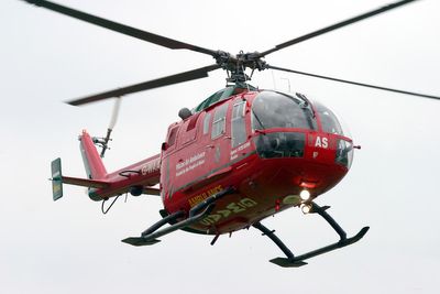 Two airlifted to hospital after dog attack in Wales as 37 other animals seized