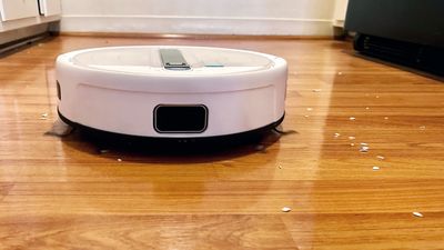 9 things not to do with your robot vacuum cleaner