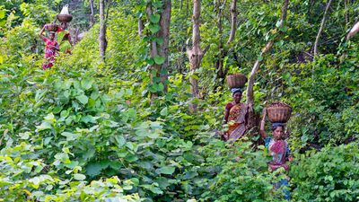 Vulnerable Didayi tribe, ‘wrongly’ bracketed under Poraja group, craves for identity