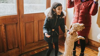 Here’s one way to stop your pup from jumping up at people while you’re sitting down