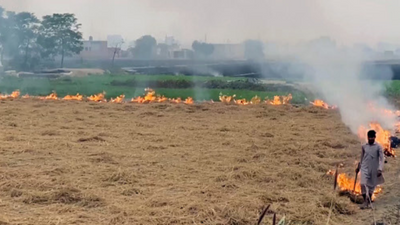 Punjab: Gurudwara Nanaksar Sahib urges farmers to shun stubble burning practices to save environment