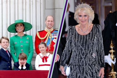 Queen Consort Camilla ‘is not a step-grandmother’ to Prince George, Charlotte and Louis and has never tried to replace Princess Diana in the role claims royal author