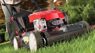 When should you stop mowing your lawn before winter? Experts explain