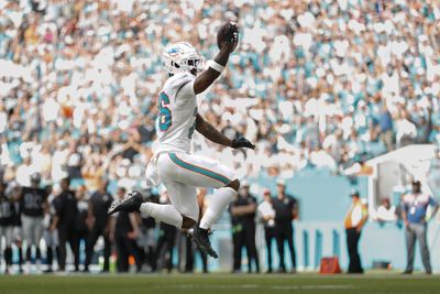 Dolphins fans rode emotional rollercoaster in win over Raiders