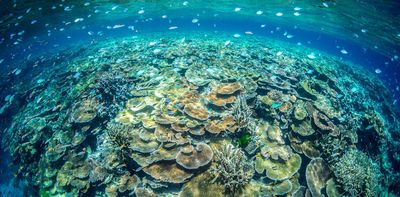 Concern for the Great Barrier Reef can inspire climate action - but the way we talk about it matters