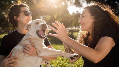 Here’s why one trainer doesn’t always let people pet her dogs, and it’s really got us thinking