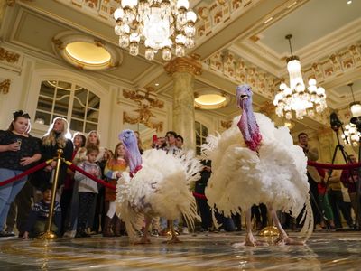 The president once again pardons turkeys who did nothing wrong, but why?