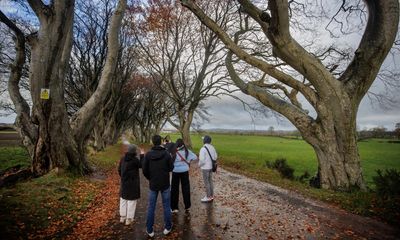 Six of Northern Ireland’s ancient Dark Hedges trees to be cut down