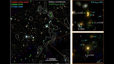 James Webb telescope discovers 'Cosmic Vine' of 20 connected galaxies sprawling through the early universe