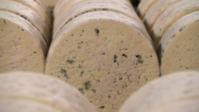 Aveyron, the home of France's iconic Roquefort cheese