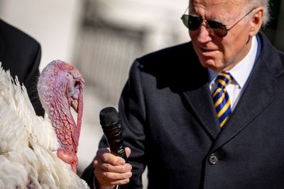 Watch: Biden pardons turkeys at White House ahead of Thanksgiving celebrations