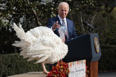 What happens to the turkeys the president pardons?