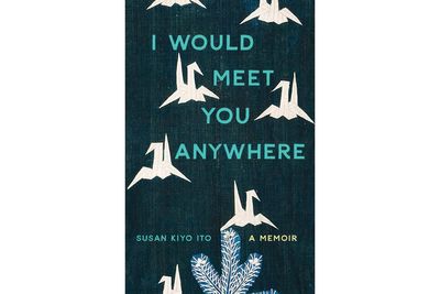 Book Review: 'I Would Meet You Anywhere' is a breathtaking account of an adoptee's search for family