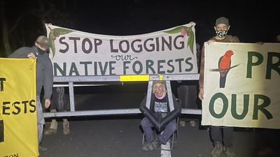 Doctor arrested at blockade targeting Forestry Corp