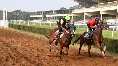 Madras High Court questions T.N. Government’s authority to revise rent for land leased out to Madras Race Club