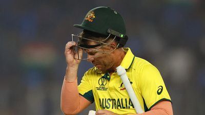 Australia's David Warner withdrawn from T20 series against India
