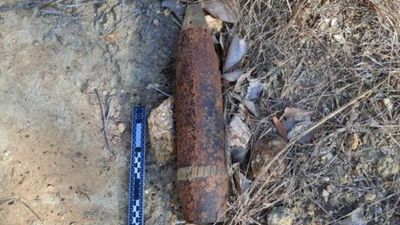 WWII bombs found in state forest in routine patrol