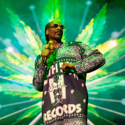 Snoop Dogg Fooled All But His Truest Fans With "Giving Up Smoke" Announcement