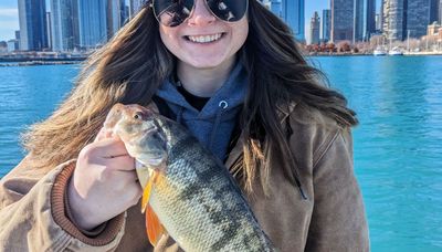 Chicago fishing: Finding lakefront perch and waiting for the ice to arrive