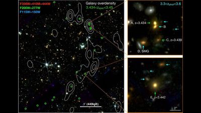 James Webb Space Telescope discovers 'Cosmic Vine' of 20 connected galaxies in the early universe