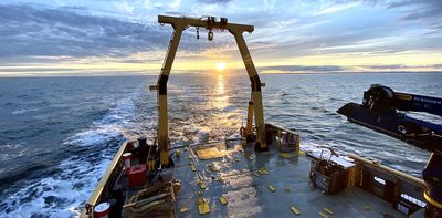 Oxygen in the St. Lawrence Estuary is decreasing — and having a major impact on small animals living there