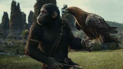 Everything we know about 'Kingdom of the Planet of the Apes'