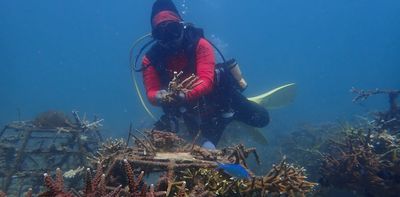 How local communities in Indonesia's Gili islands are restoring coral ecosystems amid rising sea temperatures