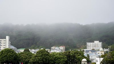 Wellington fog causes travel chaos in New Zealand