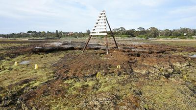 Human bones found at marine park still not identified