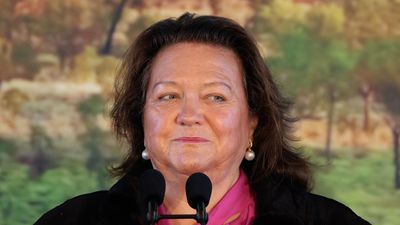 Rinehart pushed father to 'breaking point', court told