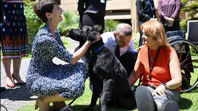Seeing eye dogs treated to graduation ceremony