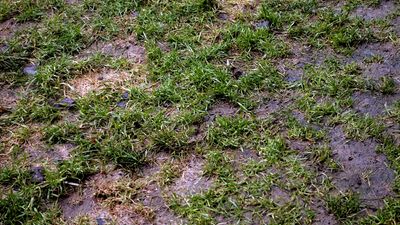 7 ways to protect your yard from heavy rain