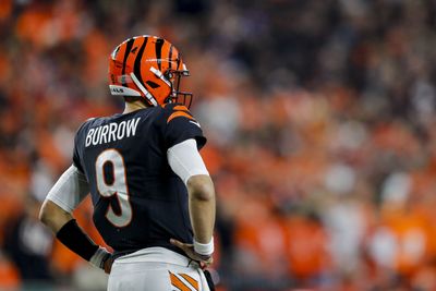 Bengals take a dive in recent power rankings