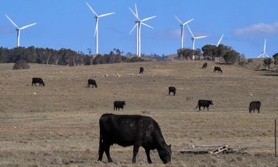 Victorian government told emissions targets at risk under plan to increase taxes on renewable energy providers