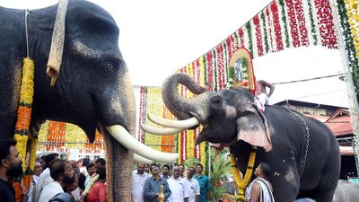 Legendary elephant Guruvayur Kesavan remembered