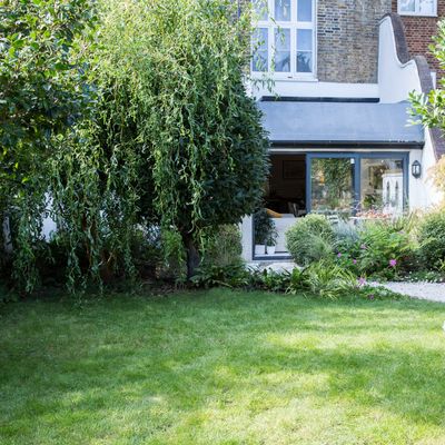 Can you grow grass during winter? Experts reveal why it’s unlikely to be a success
