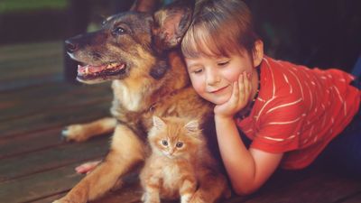 32 little known facts about cats and dogs