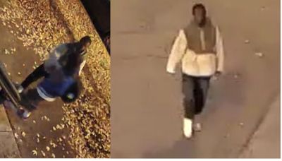 Police searching for attacker in West Town sex assault