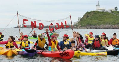 Why I plan to paddle out in this weekend's Newcastle Harbour protest