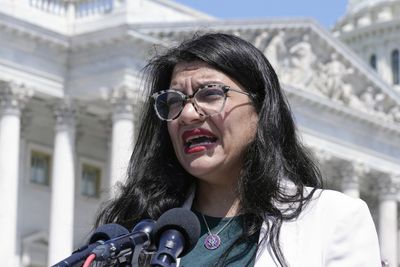Donor allegedly offered $20M to recruit a Tlaib primary challenger