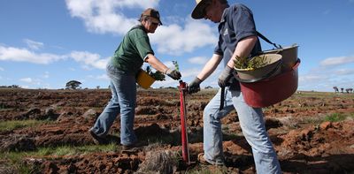 If we do it right, we can replant trees and shrubs to store carbon – and restore biodiversity