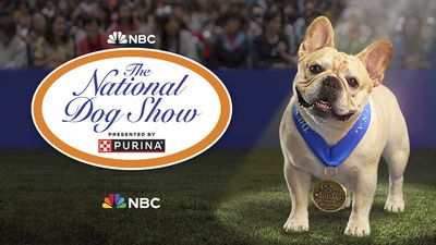 How to watch the National Dog Show 2023 on Thanksgiving Day
