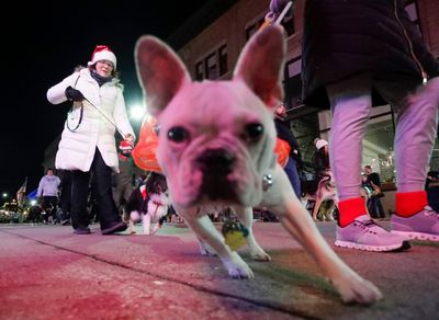 Watch: Seahawks’ pup has mastered lateral movement, stick control