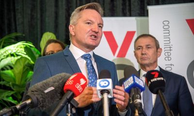 Chris Bowen’s plan is a shot in the arm for clean energy – but a lot has to go right to avoid future blackouts