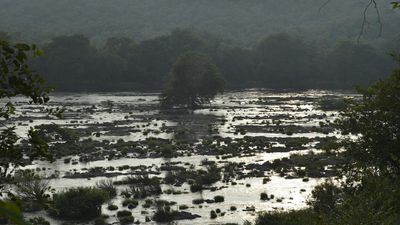 CWRC asks Karnataka to release water at 3,216 cusecs for 38 days from November 24