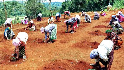 MGNREGS audit crosses 50% local bodies in just six States