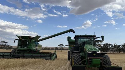 Croppers warn winter harvest is not looking great